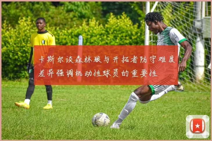 卡斯尔谈森林狼与开拓者防守难度差异强调机动性球员的重要性